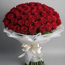 Букет 101 Красная роза Блэк Мэджик в Ташла