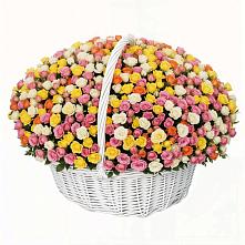 Премиум букет из: Розы в Ташла