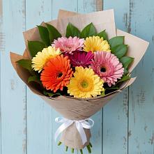 Букет цветов из:  Герберы в Ташла