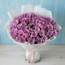Букет цветов из:  Хризантемы в Ташла