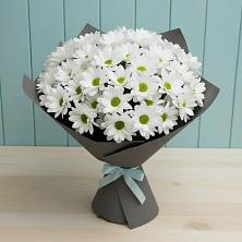 Букет цветов из:  Хризантемы в Ташла
