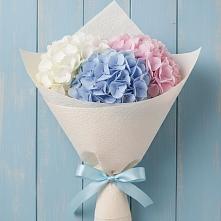 Букет цветов из:  Гортензия в Ташла