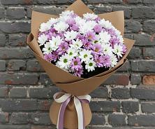 Букет цветов из:  Хризантемы #REPLACE_PRED# Ташла