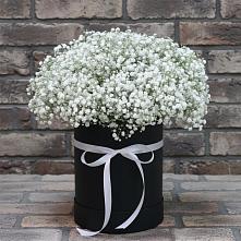 Цветочная композиция из Гипсофила в шляпной коробке в Ташла