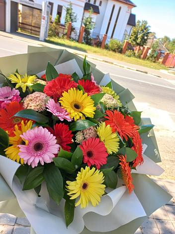 Букет цветов из: Герберы в Ташла
