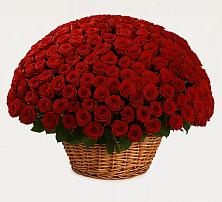 Премиум букет из: Розы в Ташла