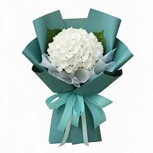 Букет цветов из:  Гортензия в Ташла